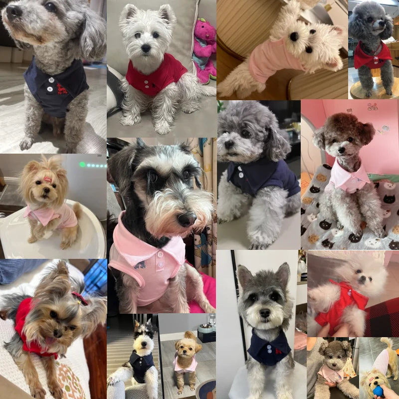 summer polo shirt for dogs