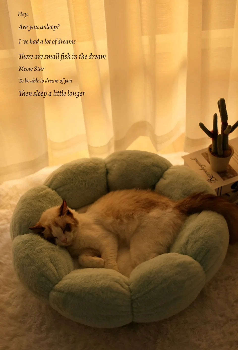 50cm round pet bed