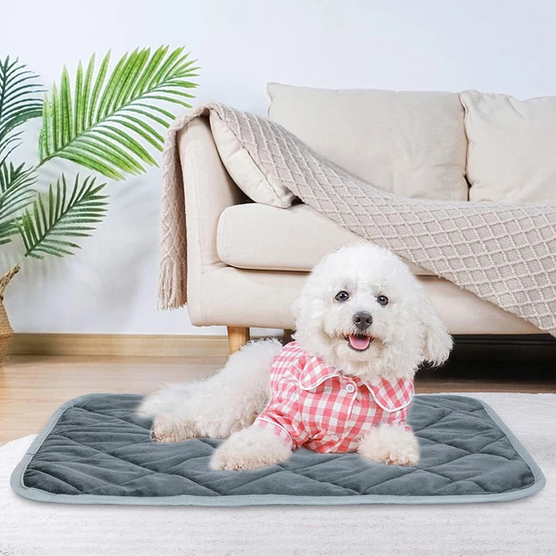 pet bed & mat covers pad
