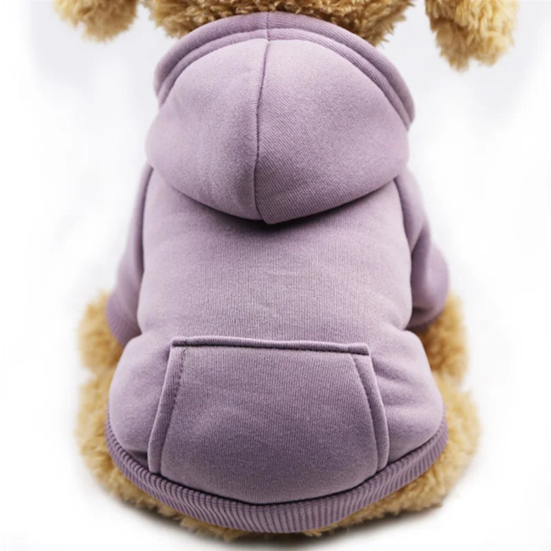pet clothes for dogs