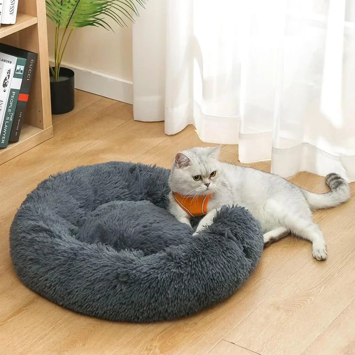 50cm round bed for pets