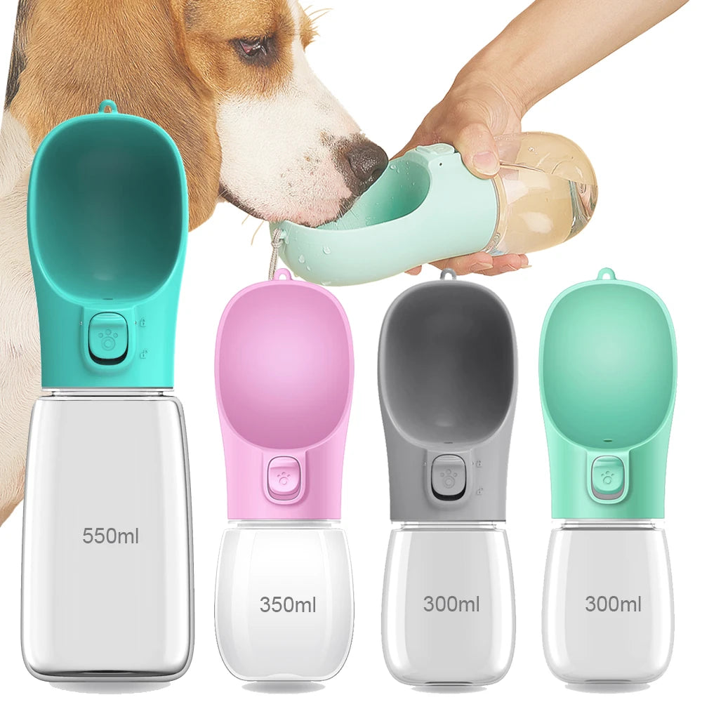 portable water bottle with food container