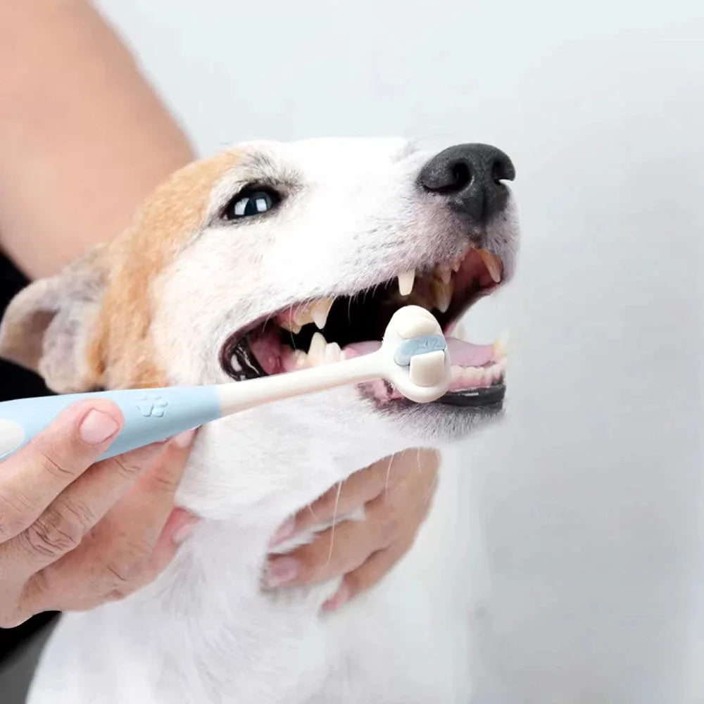 360 degree 3-sided tooth brush for pets