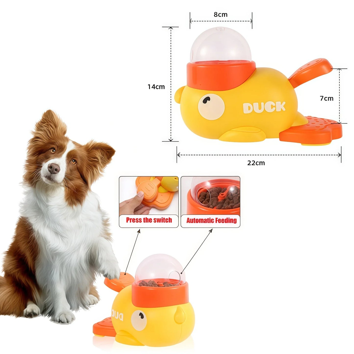 automatic dog feeder and toy