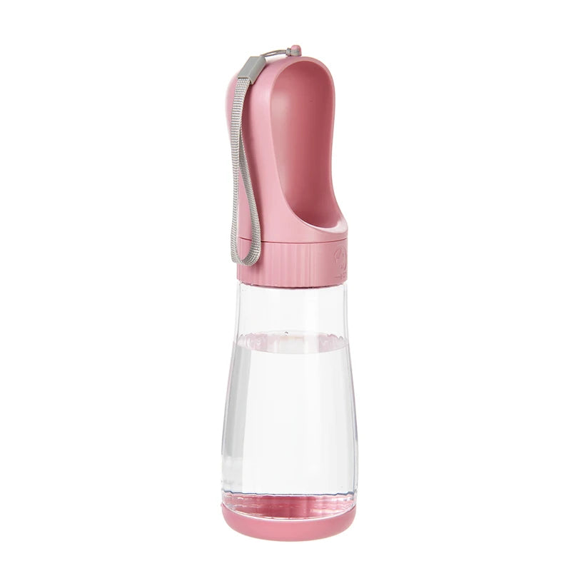 portable water bottle with food container