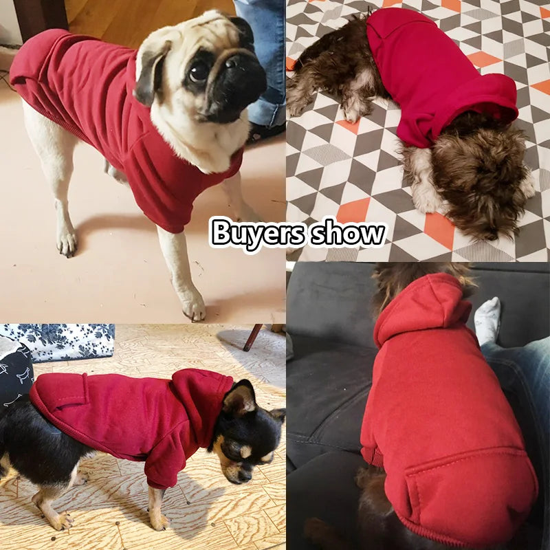 pet clothes for dogs