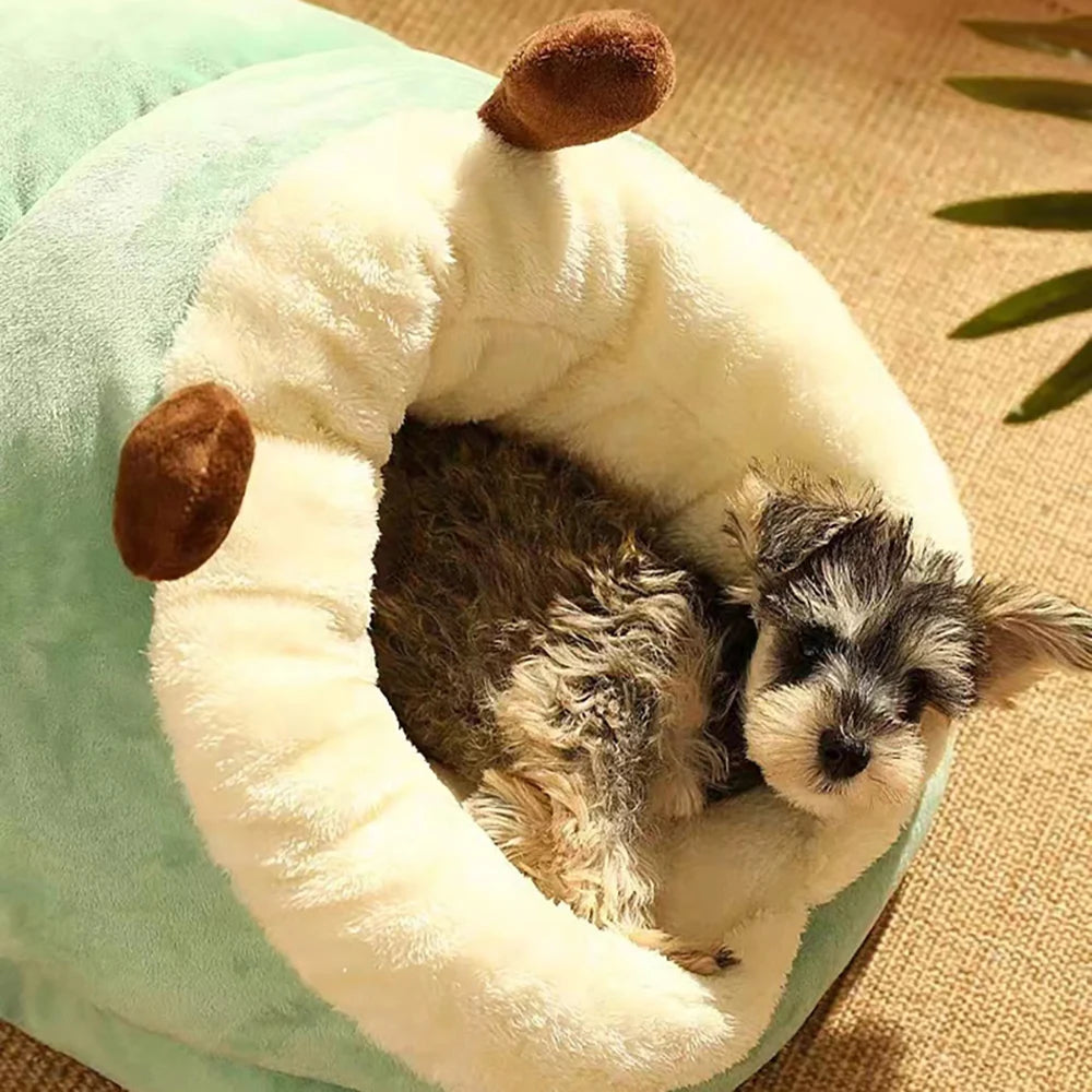 sleeping beds for pets