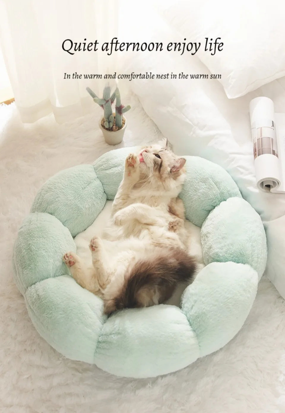 50cm round pet bed