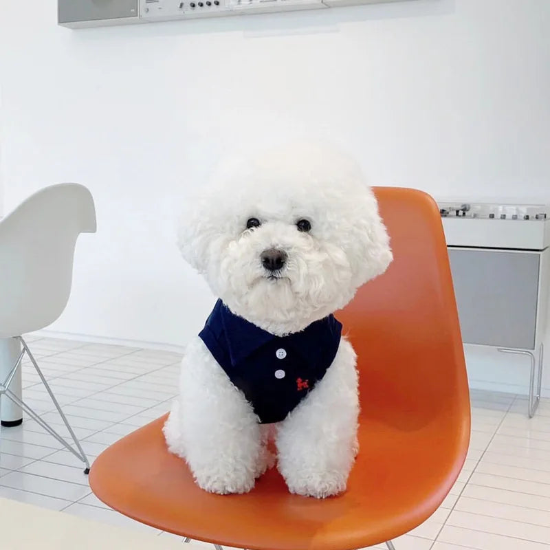 summer polo shirt for dogs