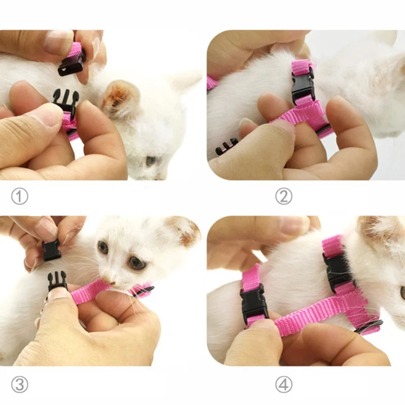 angel wings pet harness and leash set for cats