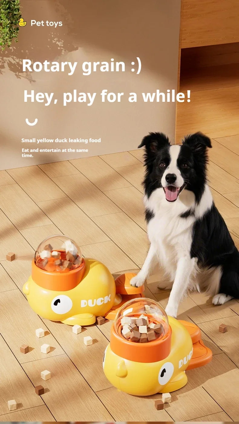 automatic dog feeder and toy