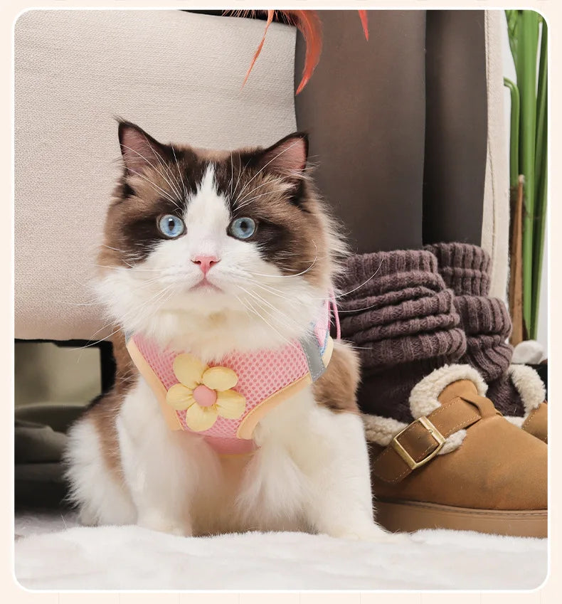 vest-style cat harness leash set