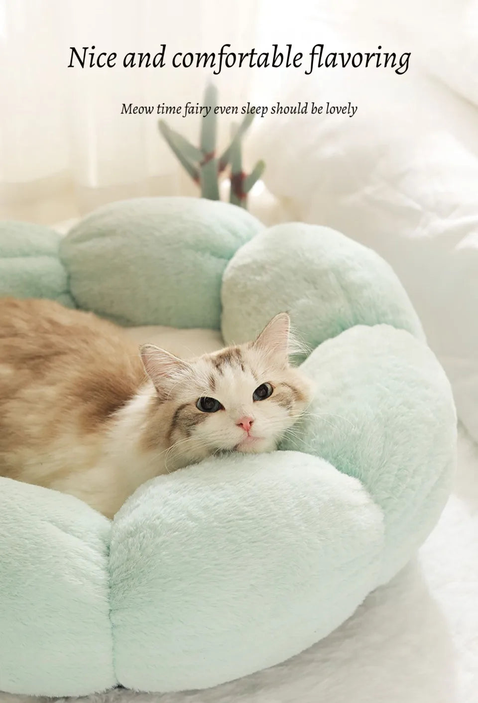 50cm round pet bed