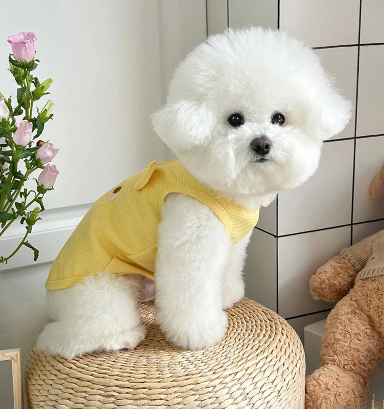 summer dog clothes for small dogs