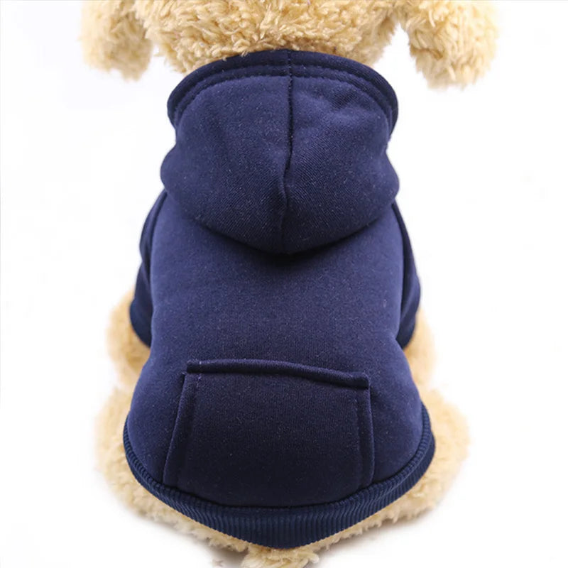 pet clothes for dogs