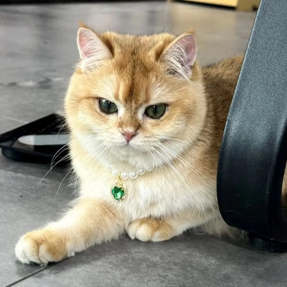 adjustable pearl jewellery collar for cats