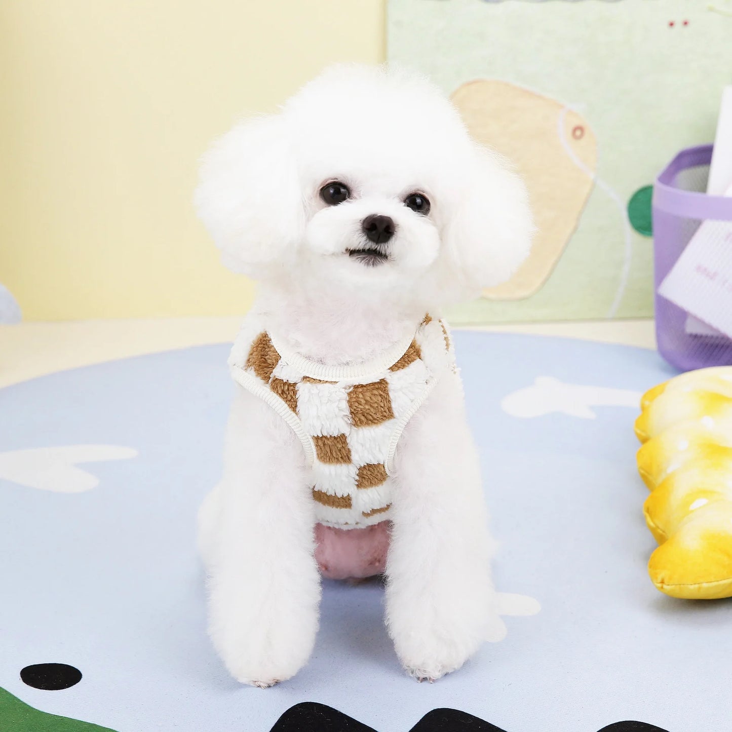 pet dog coat jacket winter