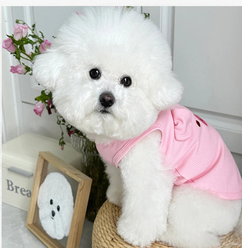 summer dog clothes for small dogs