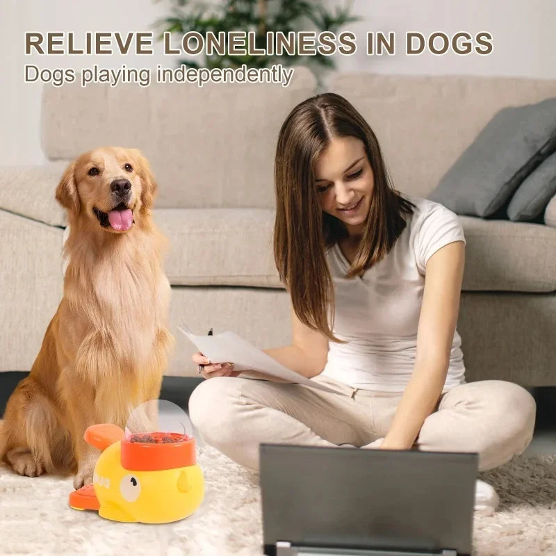 automatic dog feeder and toy