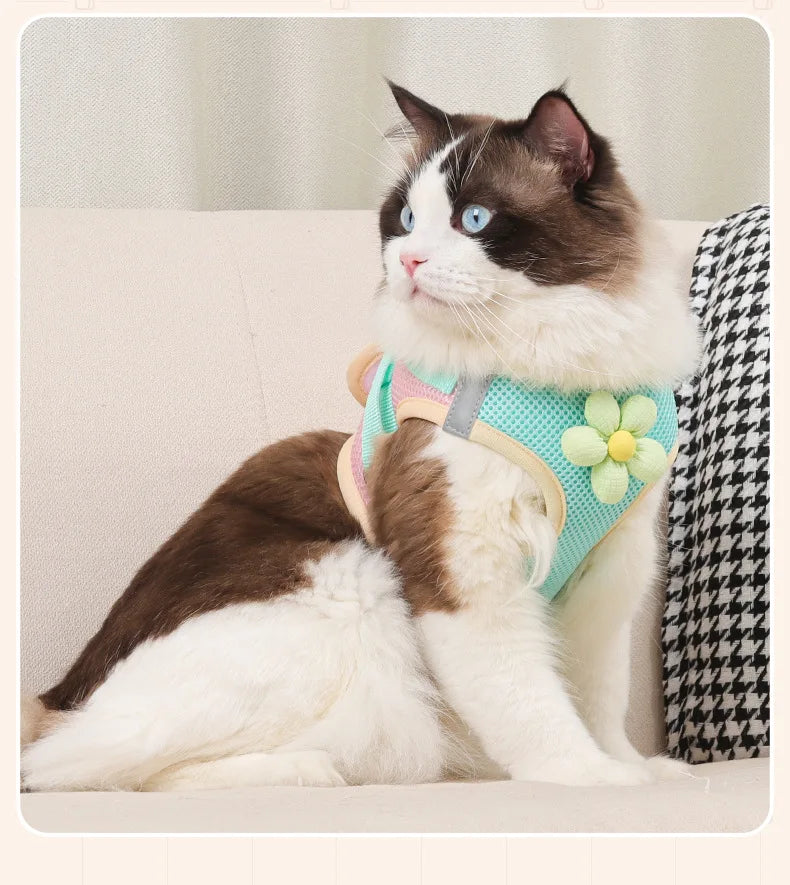 vest-style cat harness leash set