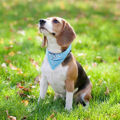 Pet Bandanas Collar for Dogs and Cats