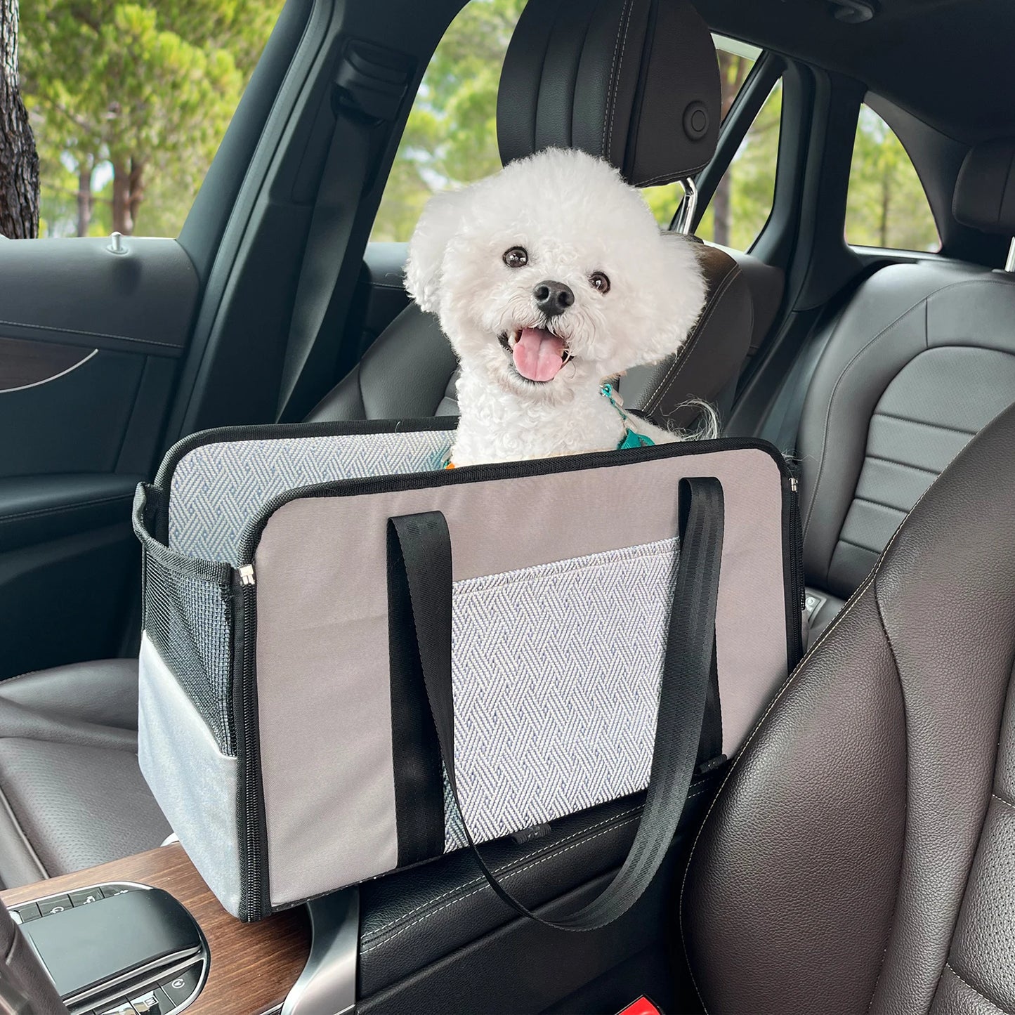 travel carriers for dogs and cats