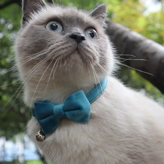 Pet Bow Bell Collars