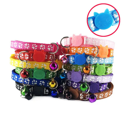 Paw Collar for pets