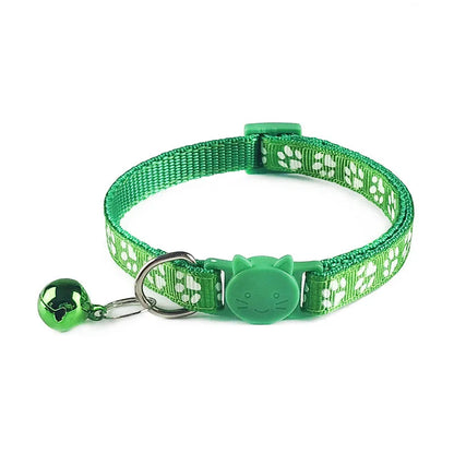 Paw Collar for pets