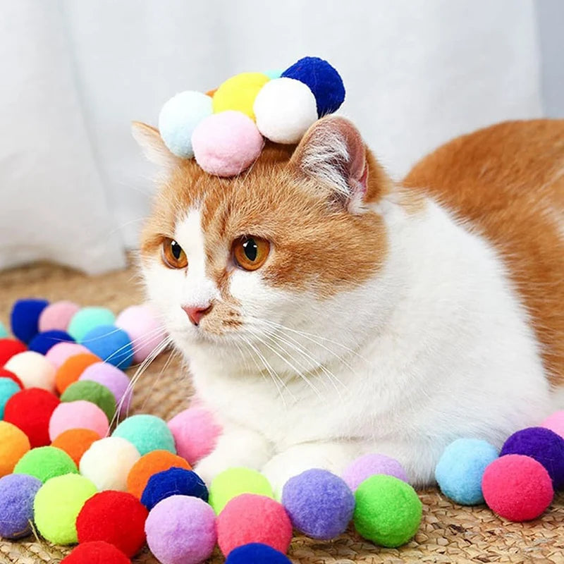 interactive training toy for pets
