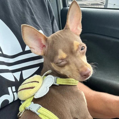 Adjustable Harness and Leash Set