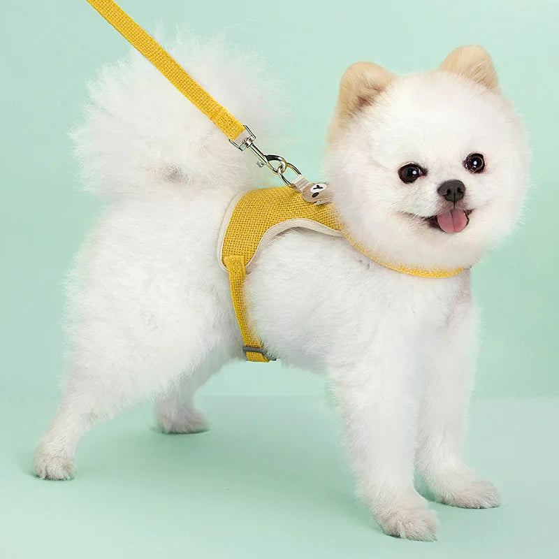 pet dog harness lead leash set