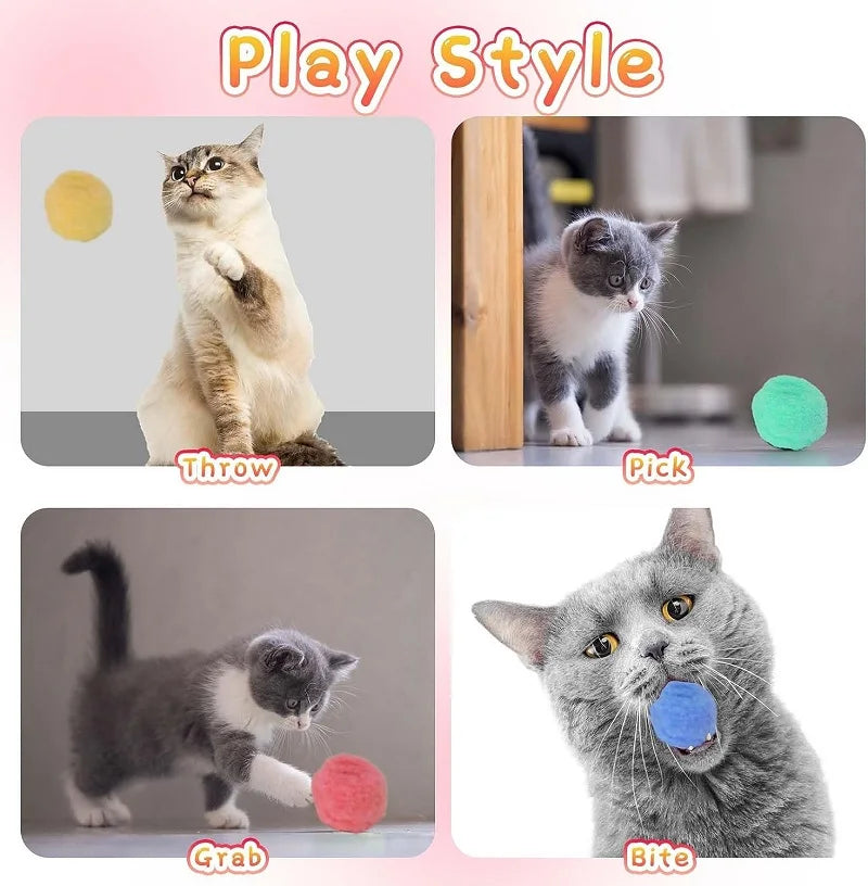 interactive training toy for pets