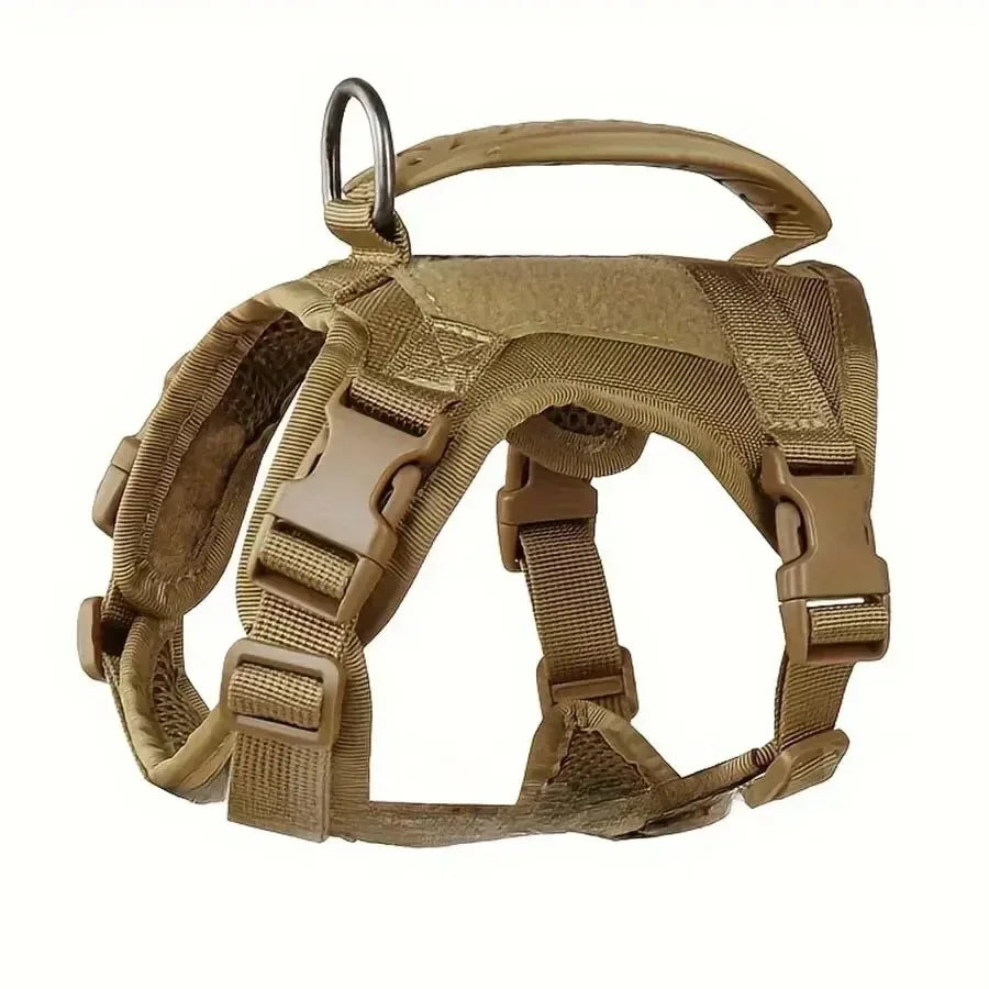 breast-band collar harness leash
