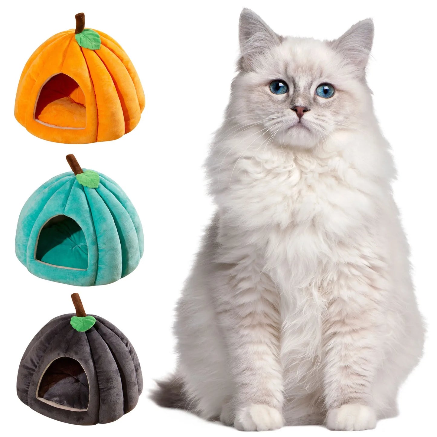halloween themed pumpkin house for pets
