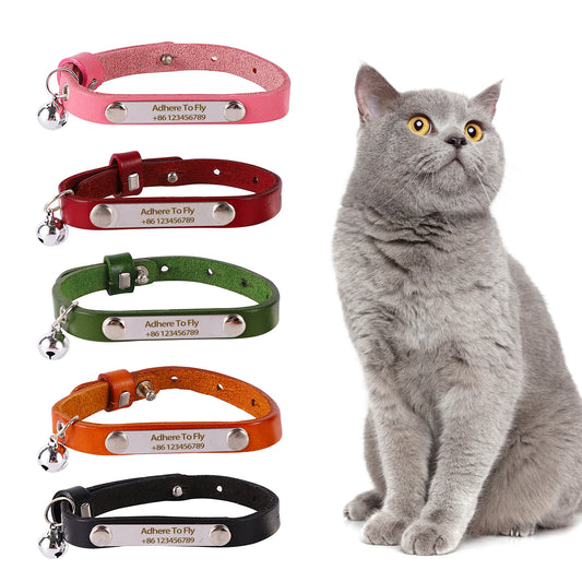 1 Pc Pet Cat Collar