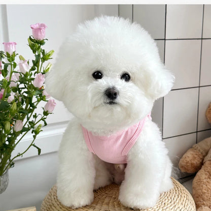Summer Dog Clothes for Small Dogs