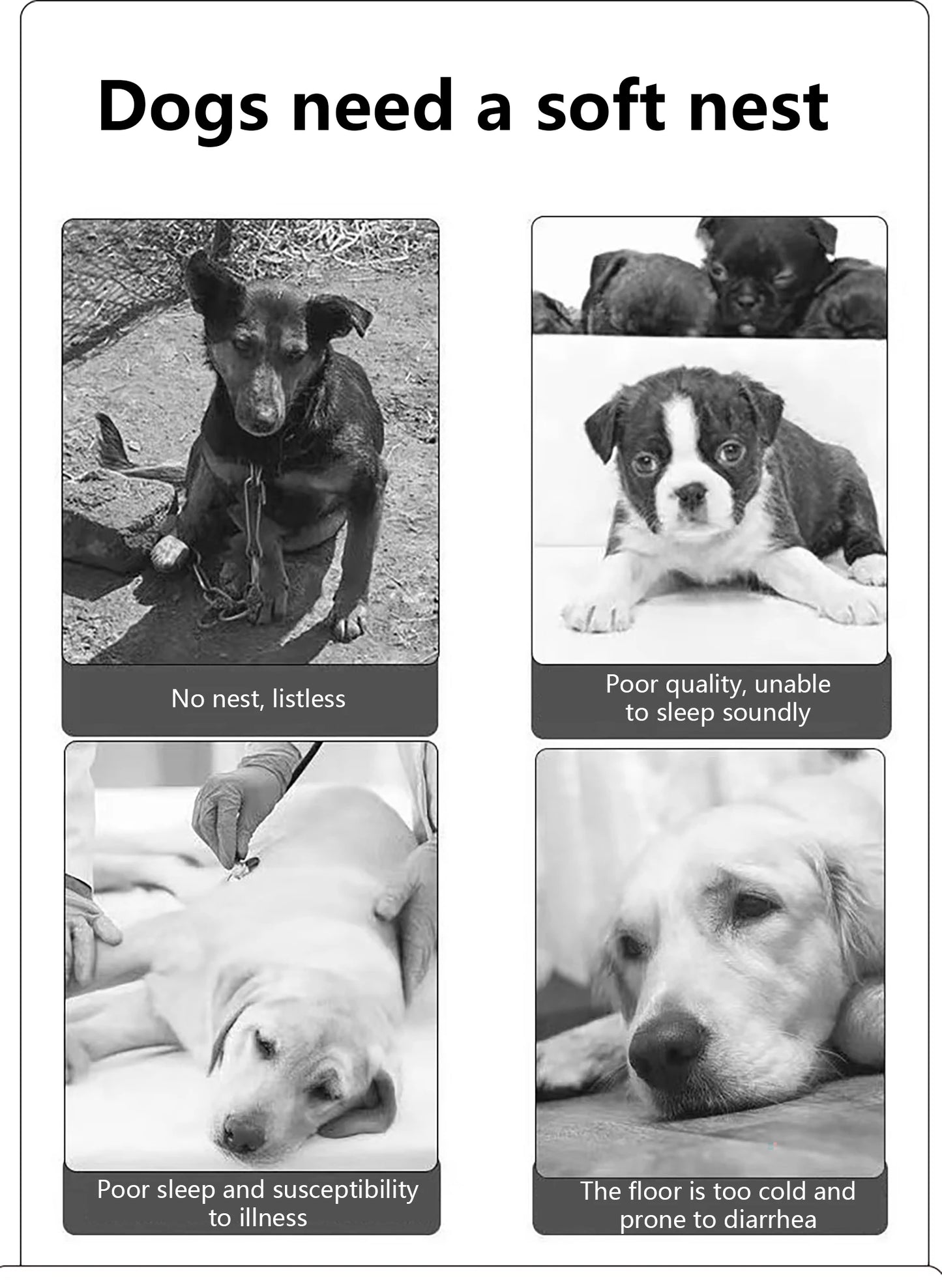 waterproof beds for pets for all seasons