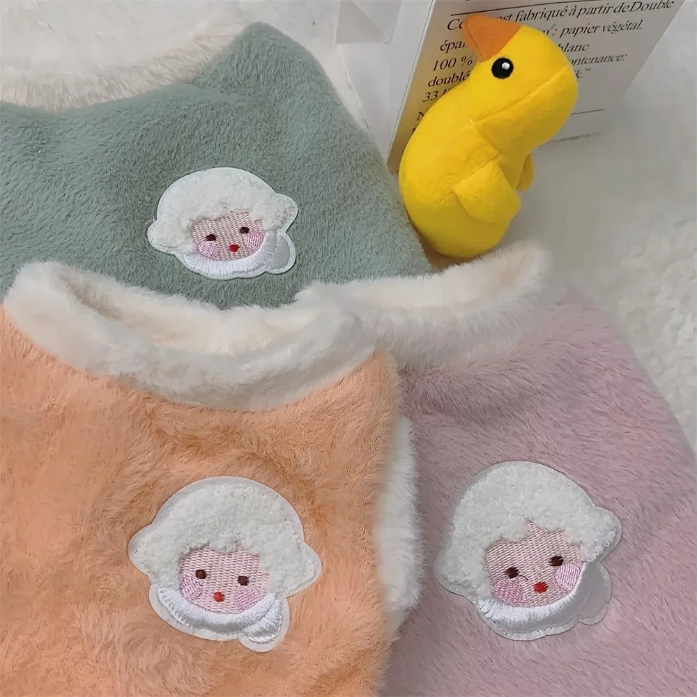 winter wear for pets