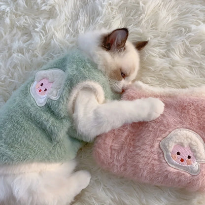 Winter wear for pets