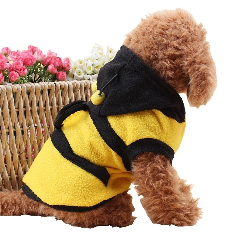 bee pet puppy coat outfit