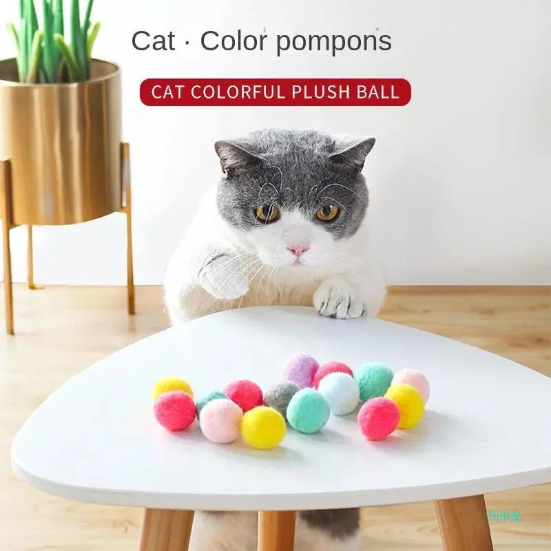 interactive training toy for pets
