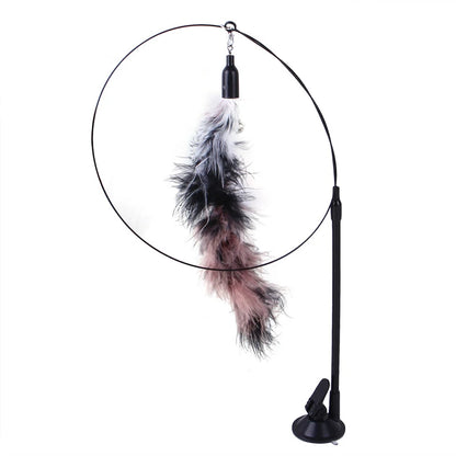 Teaser toys for pets