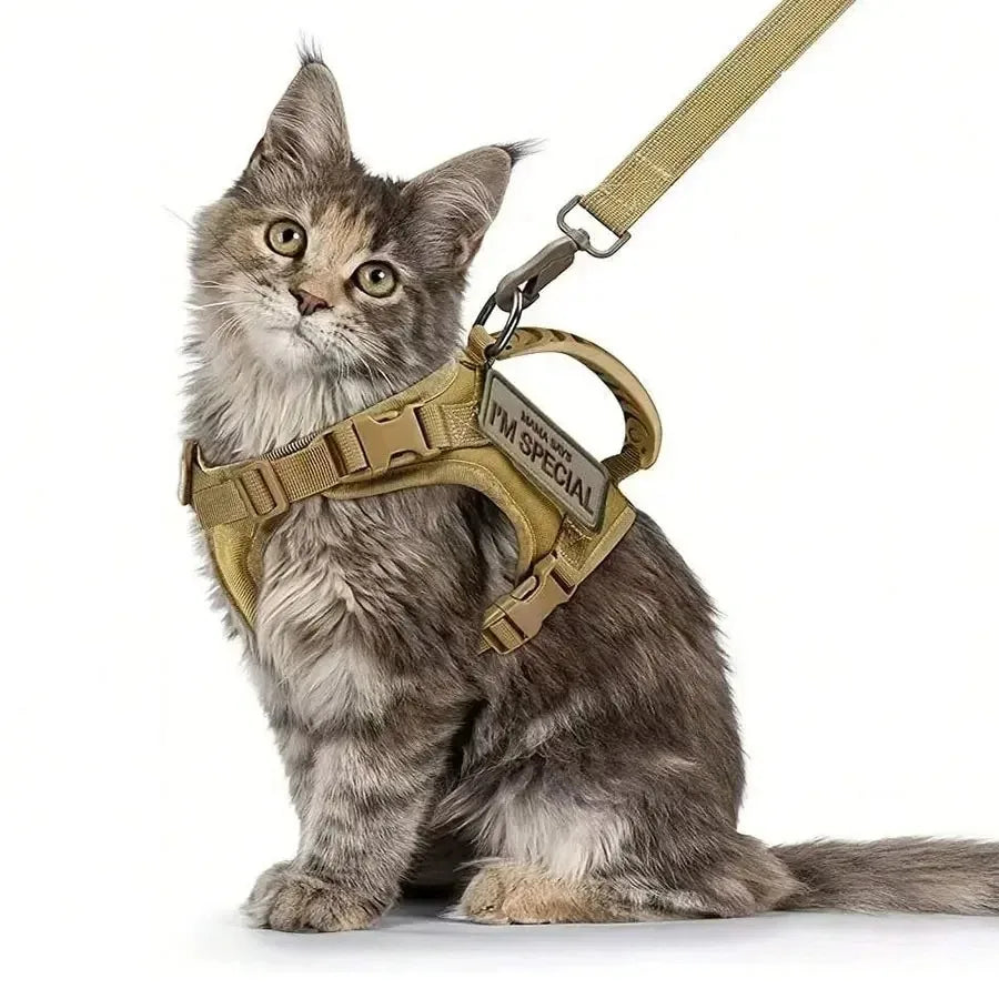 breast-band collar harness leash