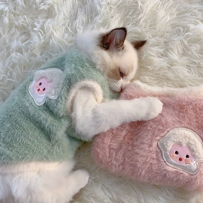 Winter wear for pets