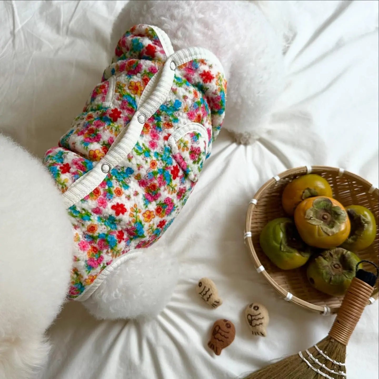 cotton wear for pets