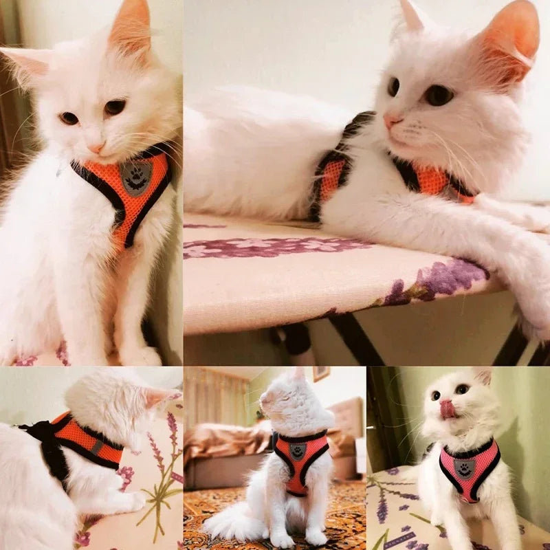 cat harness vest walking leash