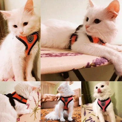 Cat Harness Vest Walking Leash