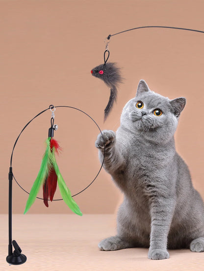 Teaser toys for pets