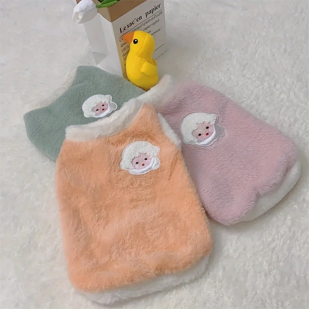winter wear for pets